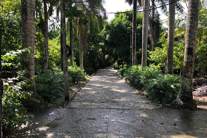 Discover Dominican life - Anamuya and the artisanal production circuit: coconut, coffee, cocoa, cigar