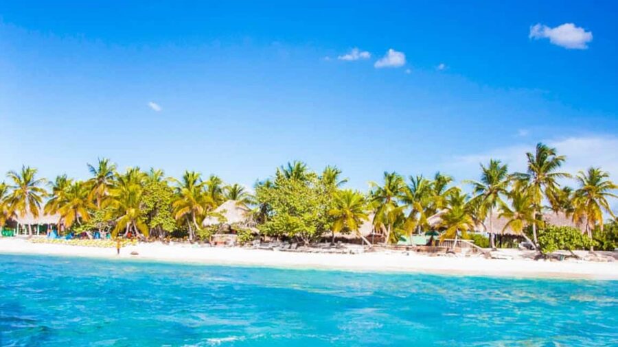 Discover Punta Cana: Full-Day Saona Island All Included - Saona Island Beach Time: Photos, a Guided Touch, then Freedom