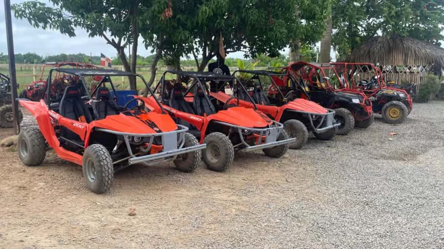Discover Punta Cana Tour Buggy & ATV Tour Macao Beach Cenote - Who This Tour Suits Best (And Who Might Want a Different Plan)