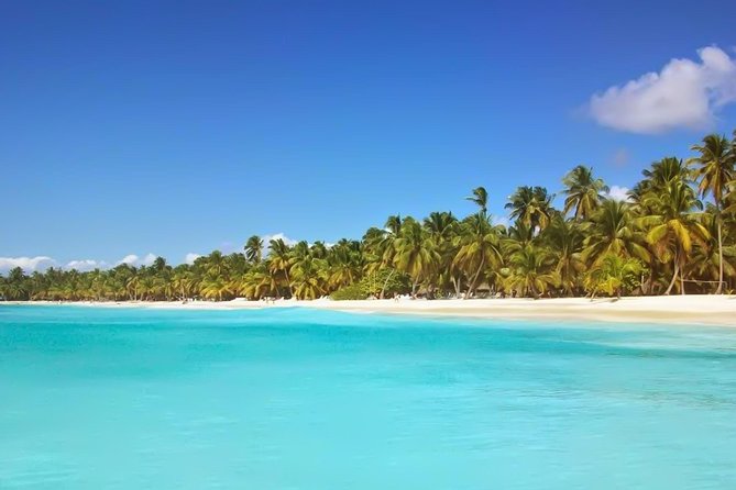 Discovery Package Saona Island & Buggies From Punta Cana - Isla Saona by Speedboat/Catamaran: Snorkeling and BBQ With Real Island Payoff