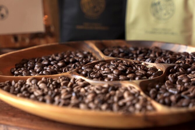 Dominican Coffee Tasting and Pairing Experience - Should you book this Dominican coffee tasting?