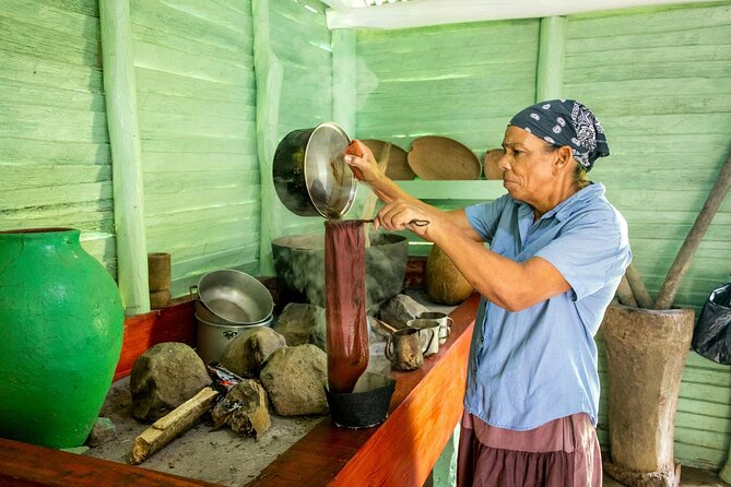 Dominican countryside, culture and beach escape with lunch - Entering the Dominican rhythm: Punta Cana, countryside, then the coast