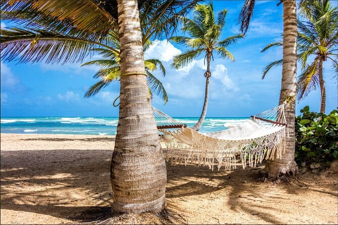Dominican countryside, culture and beach escape with lunch - Coffee, cocoa, and sugarcane roads: plantations without the tourist fog