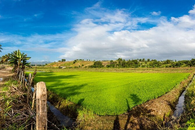 Dominican countryside, culture and beach escape with lunch - Cigar factory and sugarcane fields: specific stops with real craft
