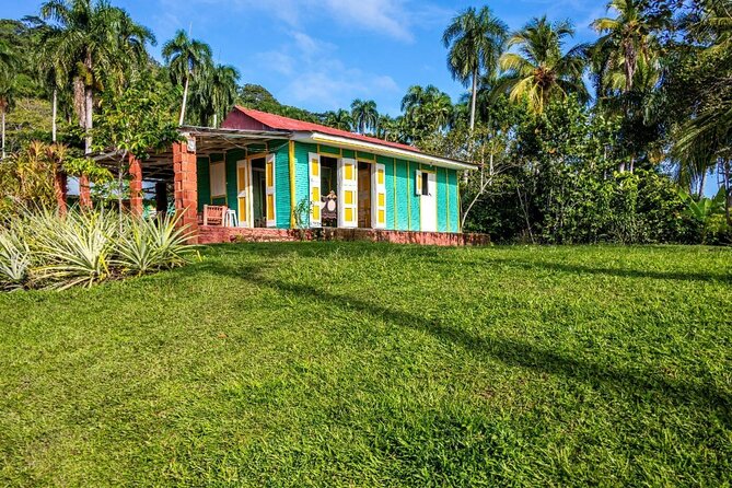 Dominican countryside, culture and beach escape with lunch - Beach stop and lunch: how the day finishes strong