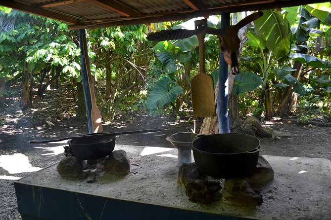 Dominican Republic Countryside Safari Tour from Punta Cana - The open-air ride through the Anamuya Mountains