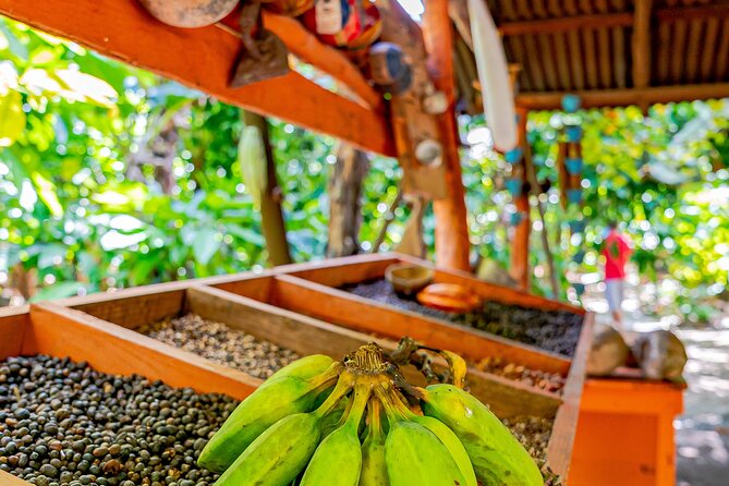 Dominican Republic Countryside Safari Tour from Punta Cana - River Maimon and the shorter in-between stops