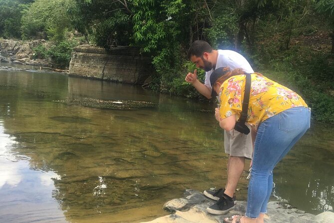 Dominican Republic Cultural Country Safari Tour from Punta Cana - Price and Value at $60: What You’re Getting for One Short Day