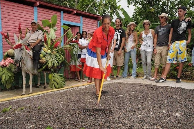 Dominican Safari Half Day... - Why this half-day safari works when you’re short on time