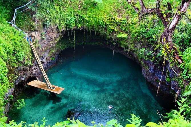 Dreams Flora Resort - Round Trip Shuttle - Punta Cana Airport - Price and Value: $71 per Group Up to 6