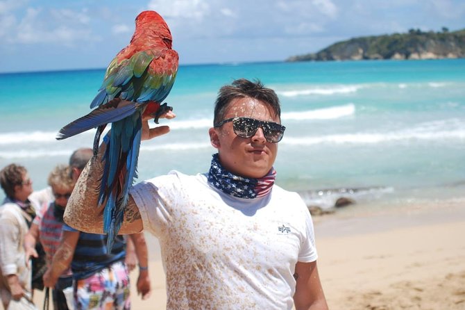 Dune Buggy Adventure by Caribbean Tour Service - Group Size, Safety Gear, and the Role of the Guide