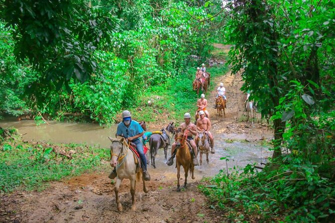 Eco Aventure Park+ Zipline+Horseback Ride+Buggy - Who should book this tour (and who should skip it)