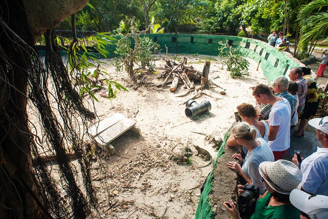 Eco Exploration: Golf Cart Adventure and Catamaran Cruise - Rolling Through Punta Cana on Golf Carts: Apiary, Iguanario, Gardens, and Old Hotel Remnants