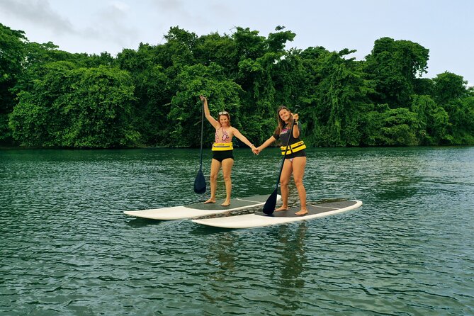 Eco Park Punta Cana by Marinarium Parks - Cattle and horses: hands-on learning plus a ride