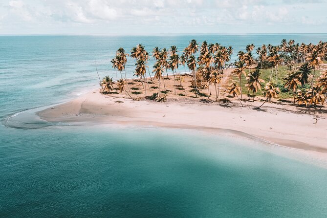 ECO TOUR Playa El Limon (Excursion Multi-activites) - Key highlights to know before you go
