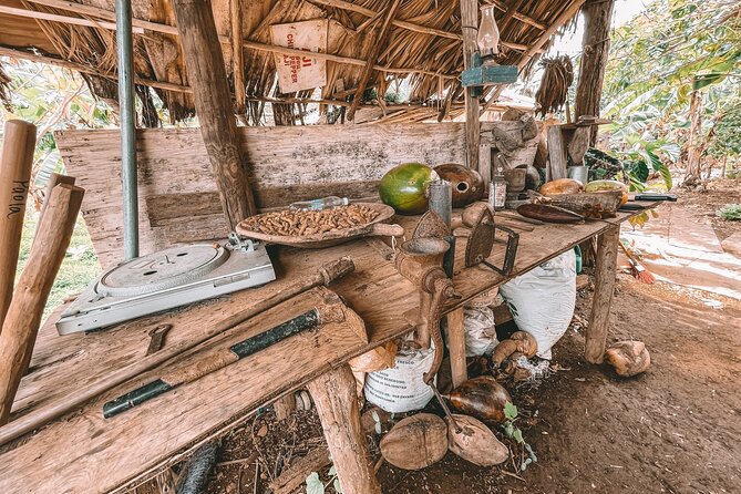 ECO TOUR Playa El Limon (Excursion Multi-activites) - Colmado and Farm Stops: Chocolate/Cacao Learning Without Being Stuffy