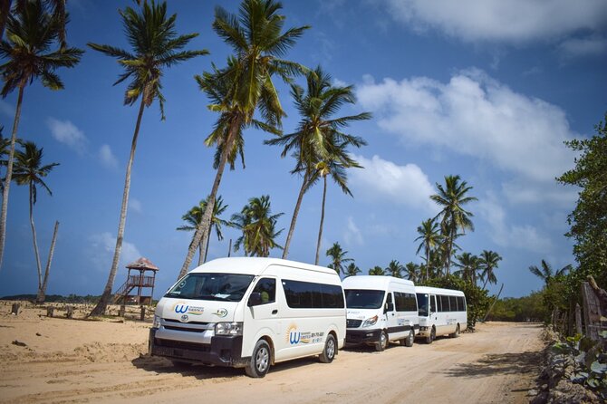 Effortless Airport Transfers in Punta Cana - From Gate to Resort: What This Transfer Really Gives You