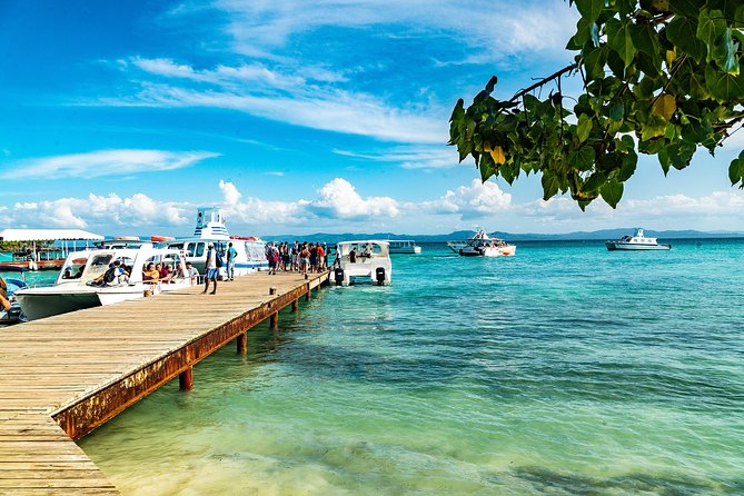 El Limon Waterfall and Bacardi Island Tour from Punta Cana with Lunch Included - Cayo Levantado (Bacardi Island): Swim and Reset on the Beach