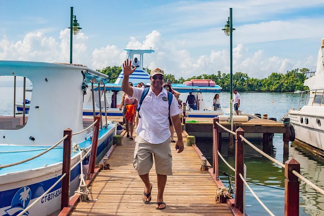 El Limon Waterfall and Bacardi Island Tour from Punta Cana with Lunch Included - Catamaran Ride to Samaná: Restrooms, Soda, and Sea-Mood Reality