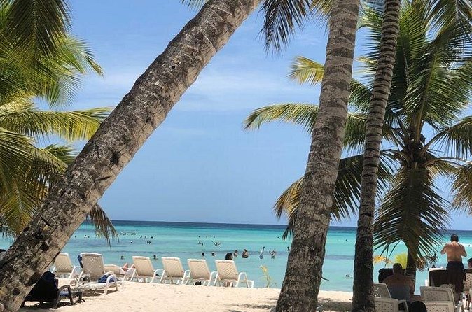 Excelence El Carmen - Round Trip Shuttle - Punta Cana Airport - The One Real-World Risk to Plan Around