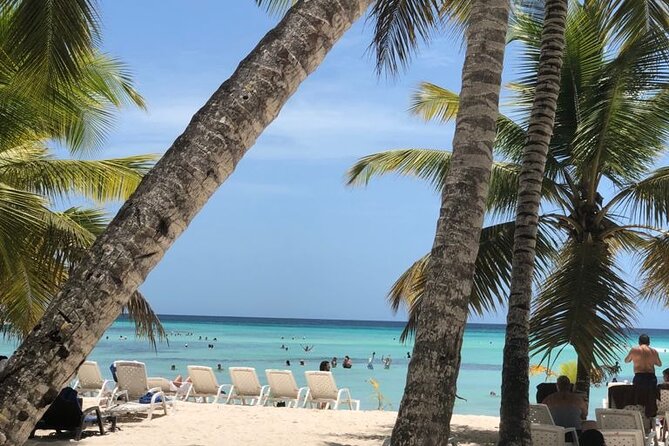 Excelence El Carmen - Round Trip Shuttle - Punta Cana Airport - Should You Book This Punta Cana to Excellence El Carmen Shuttle?