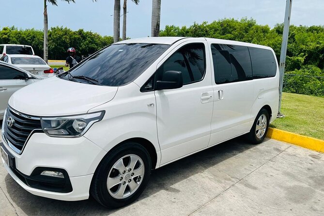 Exclusive Private Transportation from the Airport - Hotel in Punta Cana - Airport-to-Hotel in Punta Cana, Without the Chase