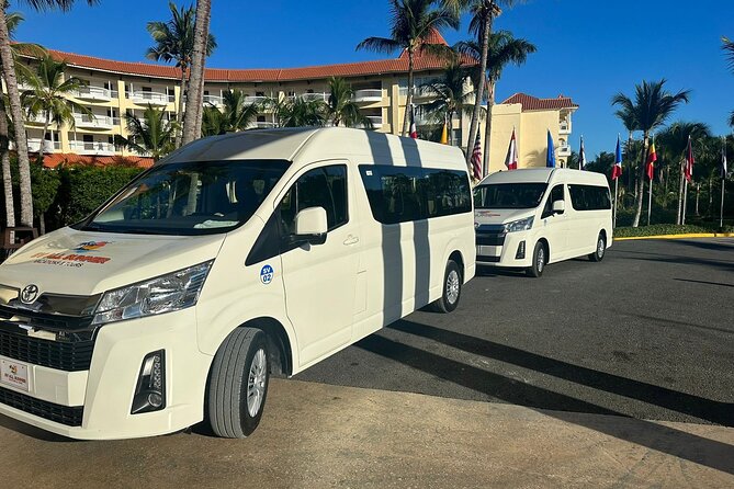 Exclusive Service Private Transfer Airport to Punta Cana (PUJ) - Getting From Entry Procedures to Your Car: The Real Play-by-Play