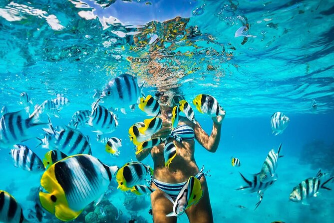 Excursion to Catalina Island and Snorkeling from Punta Cana - Getting to Catalina: the 7:30 am start and Paraíso ship ride