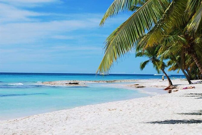 Excursion to Catalina Island and Snorkeling from Punta Cana - Transportation reality: how the bus ride affects the whole day