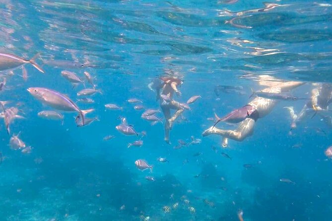 Excursion to Catalina Island and Snorkeling from Punta Cana - Price and value: what $79 buys you (and what it doesn’t)