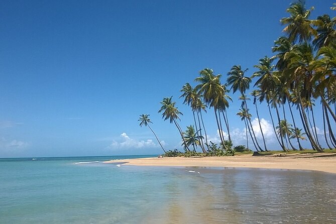 Excursion to Montaña Redonda and Playa Esmeralda from Punta Cana - Weather: the one variable you can’t control