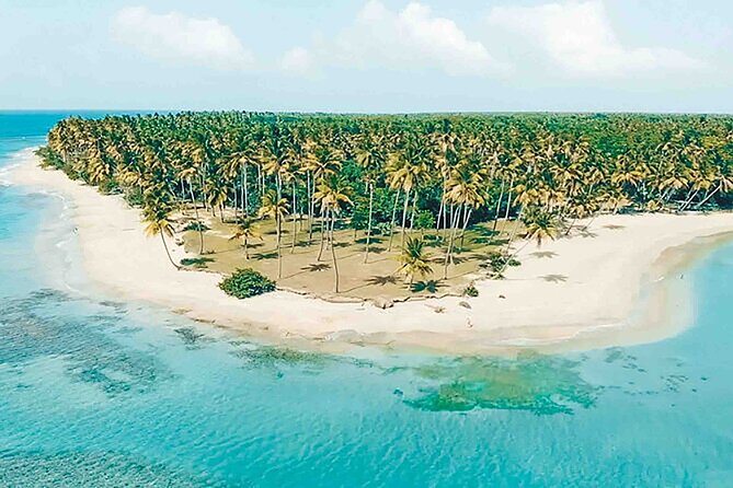 Excursion to Montaña Redonda and Playa Esmeralda from Punta Cana - The guide factor: Robinson, Wester, and what good service looks like