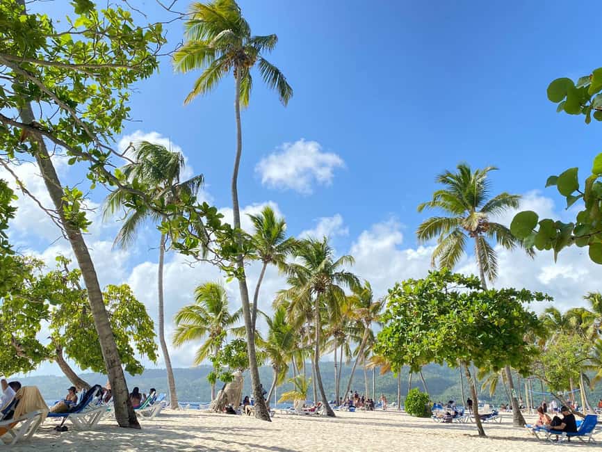 Excursion to Samaná, El Limón Waterfall and Bacardi Island from Punta Cana - Who should book this tour, and who should skip it