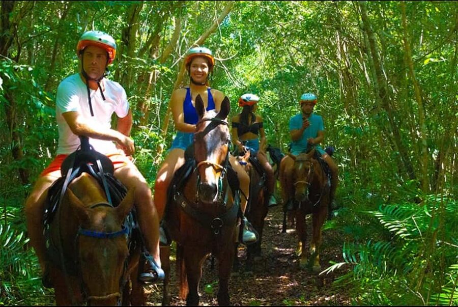 Exhilarating Buggy Tours: Discover Punta Cana Scenic Wonders - Who This Tour Fits Best (and Who Should Skip)