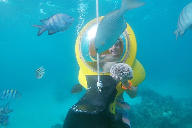 Experience a Submarine Scooter with ScubaDoo Punta Cana - Glass-Bottom Boat Plus Reef Day Timing