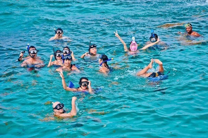 Experience Full Day Tour of Tropical Bliss at Isla Saona - Your guide can make or break the vibe