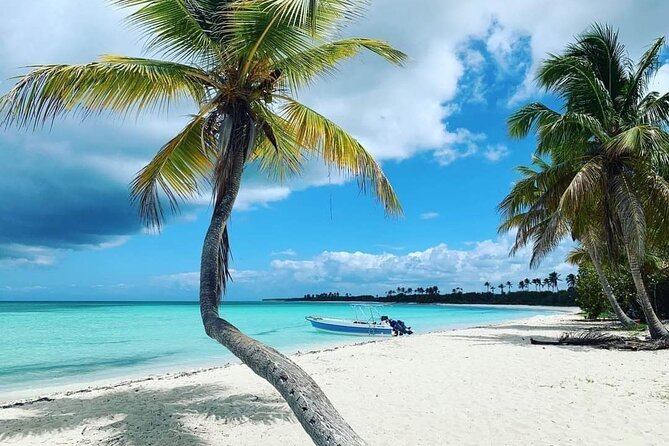Experience Full Day Tour of Tropical Bliss at Isla Saona - Snorkeling on Isla Saona: what to expect and how to make it pleasant