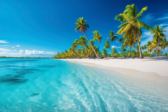 Explore Catalina Island & Snorkeling Adventure from Punta Cana - Key highlights to know before you go