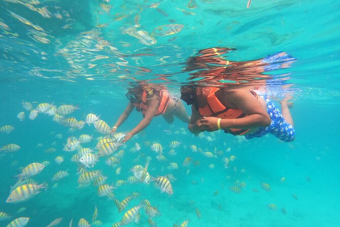 Explore Catalina Island & Snorkeling Adventure from Punta Cana - Catalina’s West-Side Private Beach: Lunch, Open Bar, and Unhurried Time