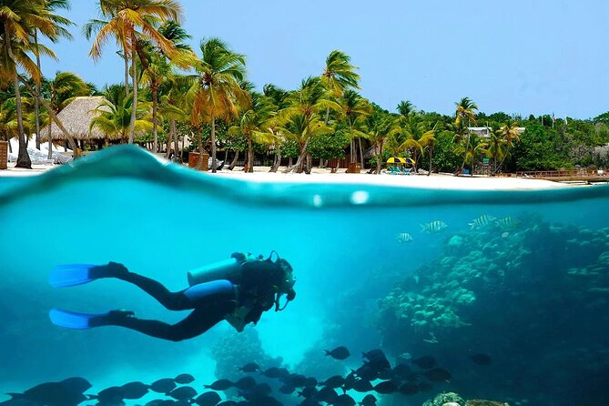 Explore Catalina Island & Snorkeling Adventure from Punta Cana - Boat Ride Vibes: Entertainment, Seating, and What Can Go Wrong