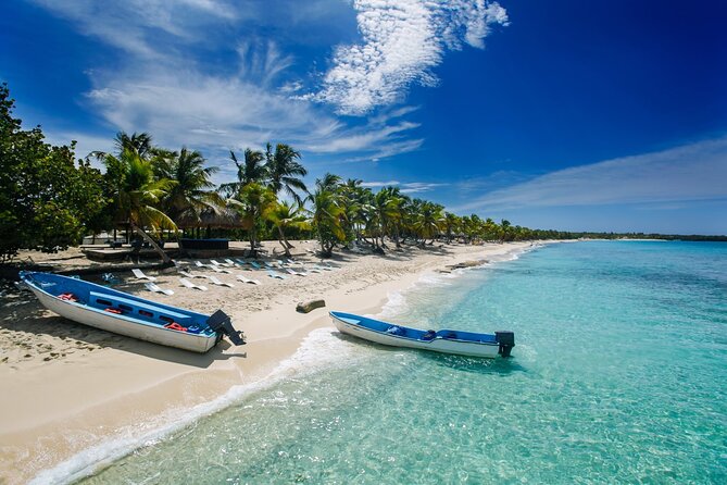 Explore Catalina Island & Snorkeling Adventure from Punta Cana - Getting There From Punta Cana: Pickup, Timing, and the Long Day Reality