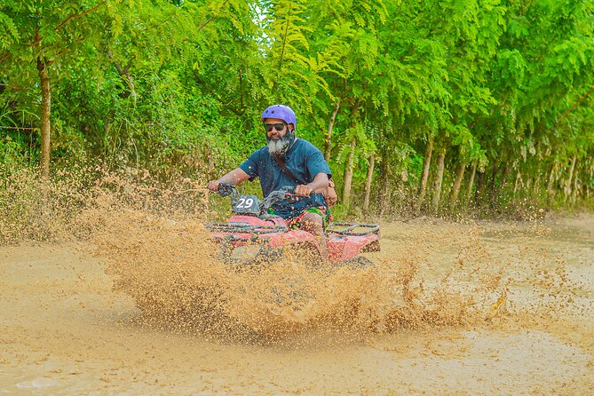 Explore Punta Cana in Buggy - Typical Dominican House Tasting: Coffee, Cacao, and Mamajuana