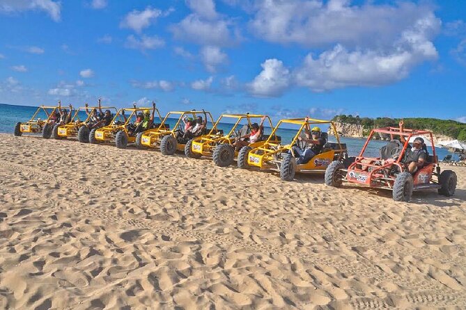 Extreme Buggy Tour in Punta Cana, River Cave, Macao Beach - Stop 2: plantation tasting and spice talk (plus the mamajuana moment)