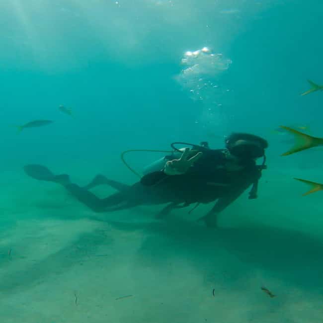 First Time Scuba Diving Experience in Punta Cana - Should You Book This Punta Cana First-Time Scuba Experience?