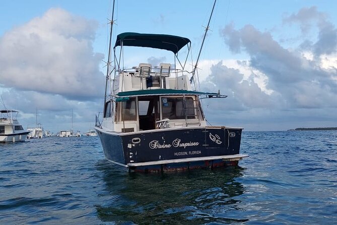 FISHING PRO CHARTERS - Boat Excursion - Divina - Target Species in Punta Cana: What You Can Hope For