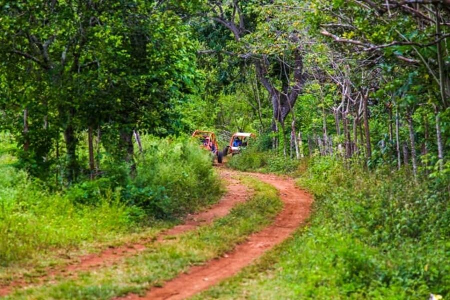 Flintstones Buggy, Cave and Adventure in Bavaro - Price and value: why $60 can work well here