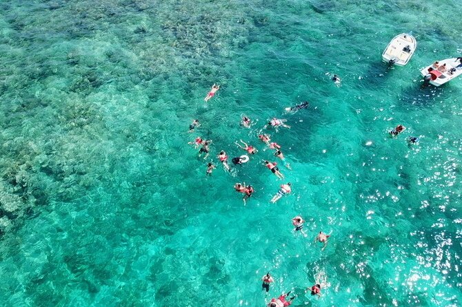 Float & Feast Private Party Cruise with Premium Buffet & Open Bar - Dolphins, views, and how to time your photos