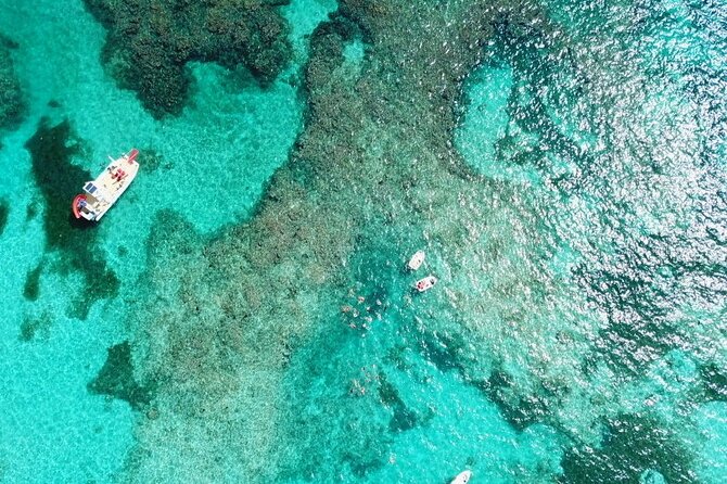 Float & Feast Private Party Cruise with Premium Buffet & Open Bar - Practical tips so your group stays comfortable