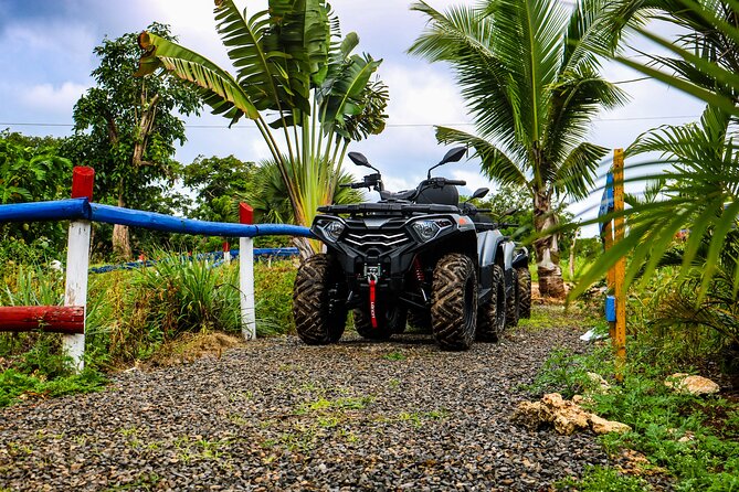 Four Wheel ATV Ride in Punta Cana - Dominican Tastings at a Local Farm (Chocolate, Coffee, Mamajuana, Tea)