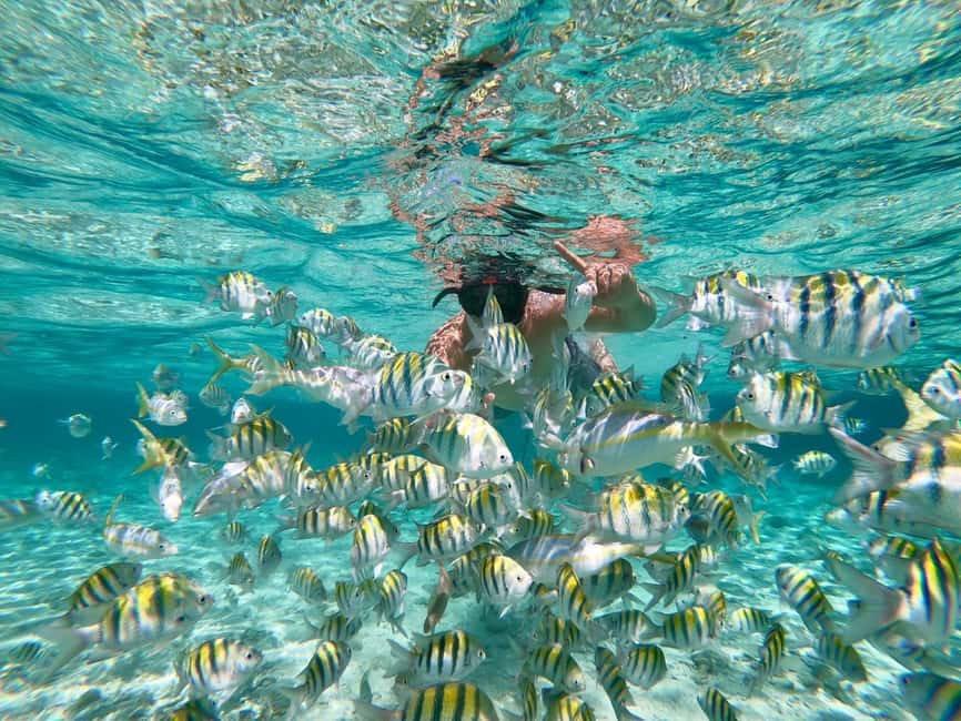 From Bavaro, Punta Cana: Boat Party, Snorkeling, Drinks, Snacks, and Transportation - Spot-on Pickup From Bávaro (and Why It Matters)